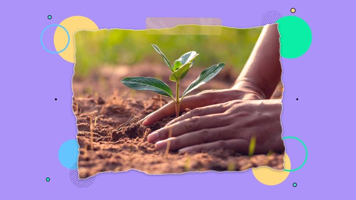 Imagem de uma pessoa plantando fazendo referência à agricultura regenerativa