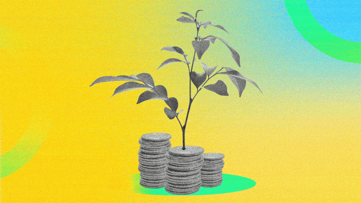 Ilustração de uma planta que floresce em cima de moedas em referência ao tema do artigo sobre economia regenerativa